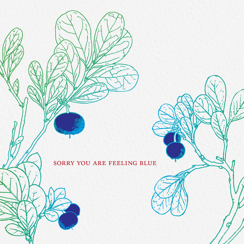 Feeling Blue Blueberry Friendship Greeting Card