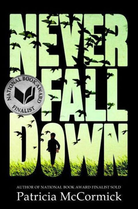 Never Fall Down: A Novel cover image