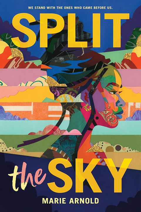 Split the Sky cover image