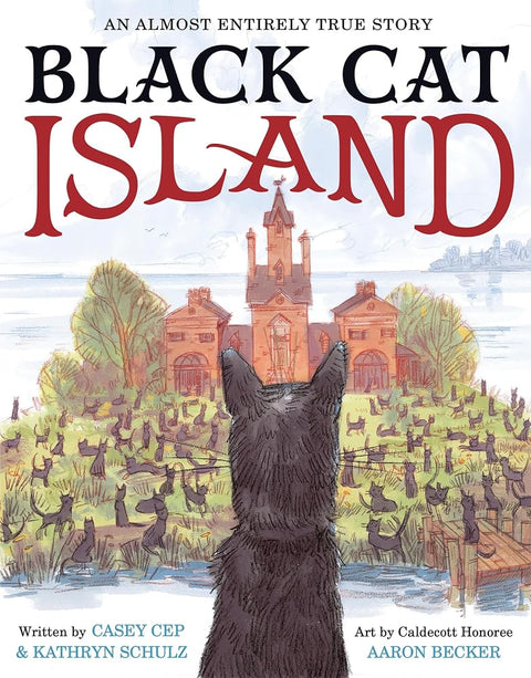 Black Cat Island: An Almost Entirely True Story cover image