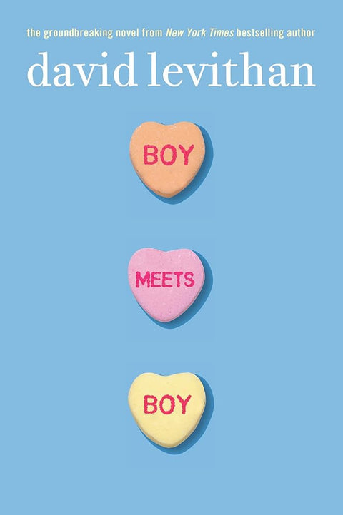 Boy Meets Boy cover image