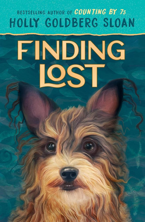 Finding Lost cover image