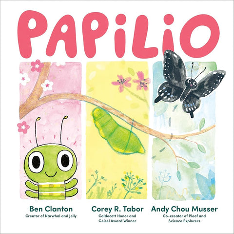 Papilio cover image