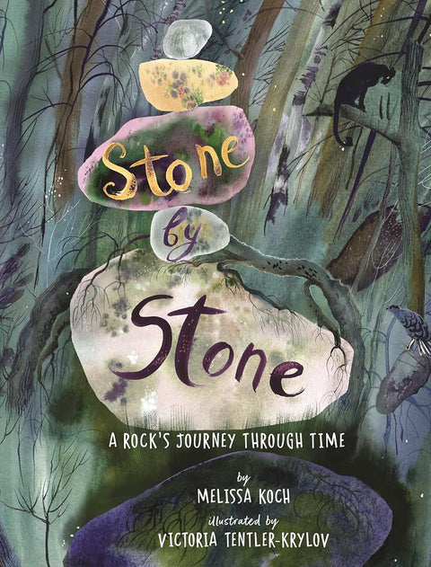 Stone by Stone: A Rock's Journey Through Time cover image