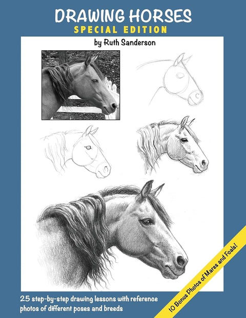 Drawing Horses: Special Edition cover image