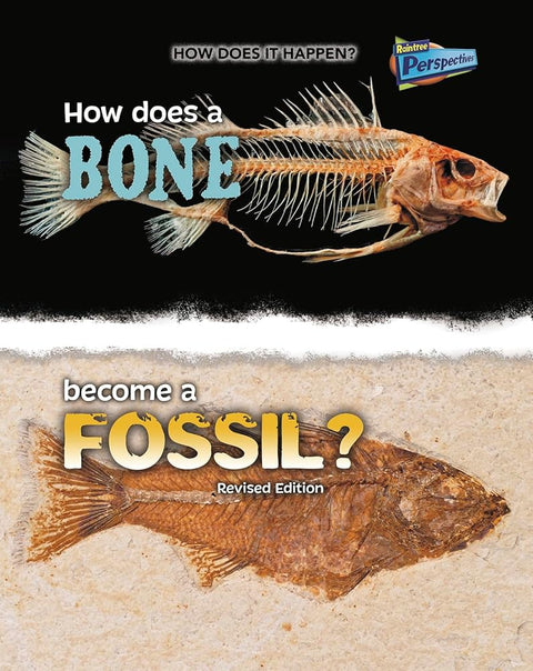 How Does a Bone Become a Fossil? (How Does It Happen) cover image