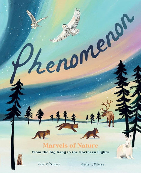 Phenomenon: Marvels of Nature from the Big Bang to the Northern Lights cover image