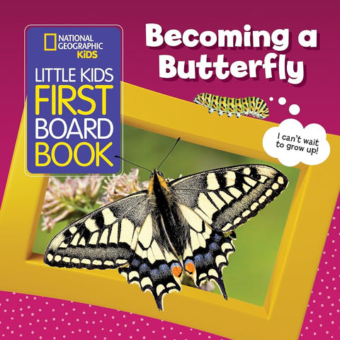 National Geographic Kids Little Kids First Board Book: Becoming a Butterfly cover image