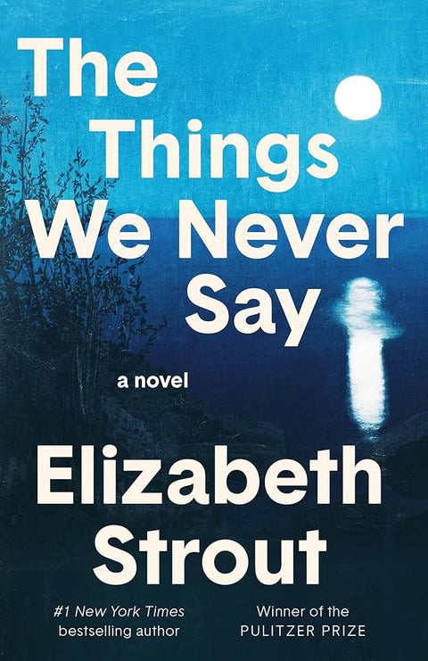 The Things We Never Say: A Novel cover image