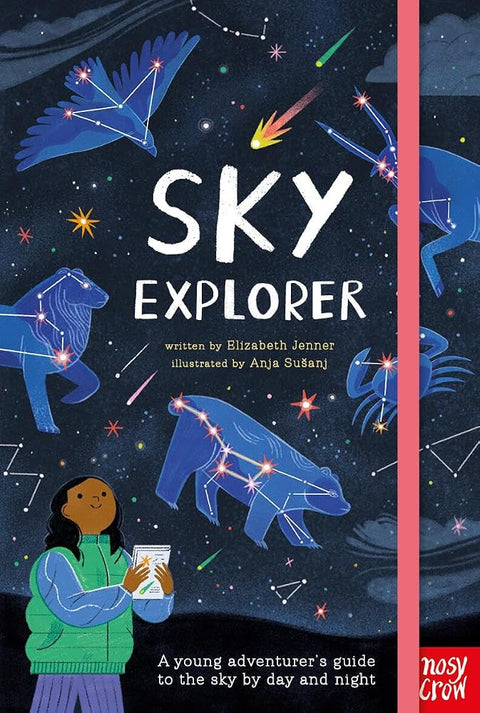 Sky Explorer: A Young Adventurer's Guide to the Sky by Day and Night (Out and About) cover image