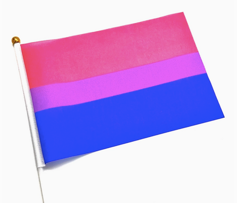 Bisexual Pride Flag | The QUILTBAG