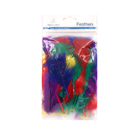 Assorted Craft Feathers