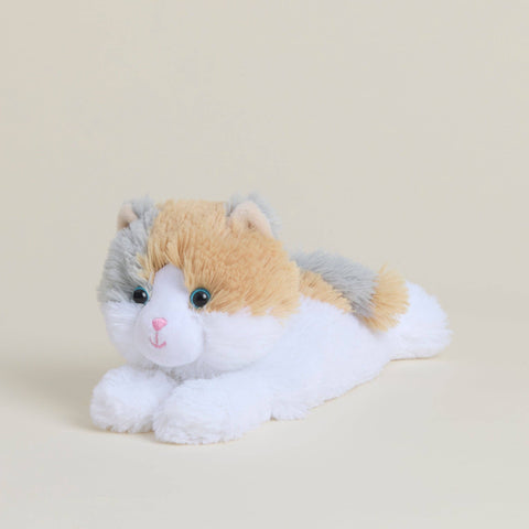 Calico Cat Warmies Junior