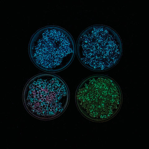 Glow In the Dark Glops N Dots Modeling Foam