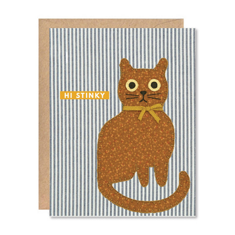 Greeting Card - "Hi Stinky" Orange Cat