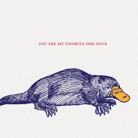Platypus Odd Duck Greeting Card