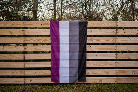 Asexual (Ace) Pride Flag: (M) 2ft x 3ft Single-Sided with Grommets