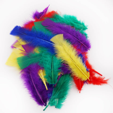 Assorted Craft Feathers