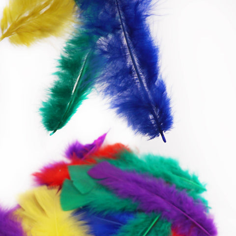 Assorted Craft Feathers