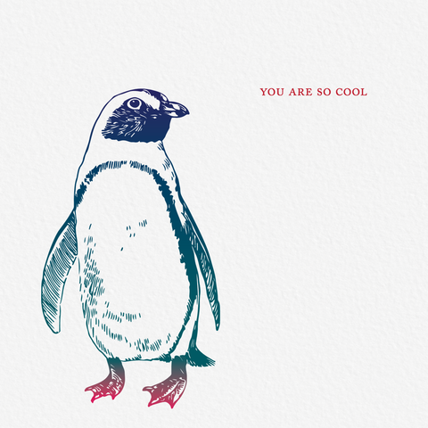 You Are So Cool Penguin Friendship Greeting Card