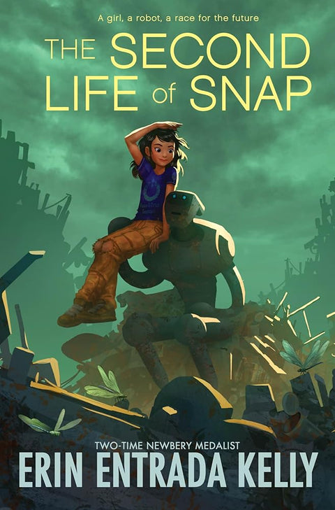The Second Life of Snap cover image