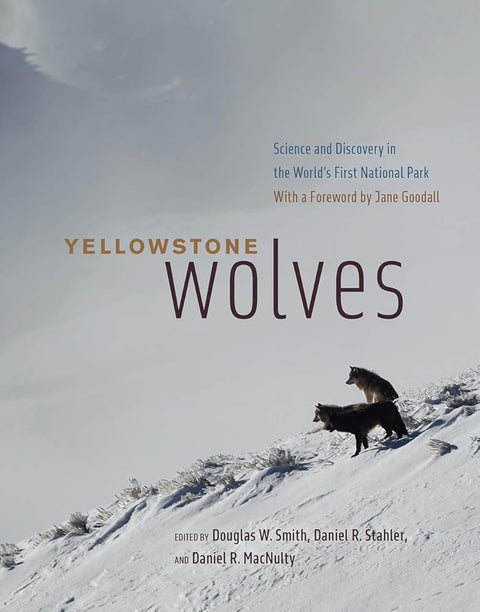Yellowstone Wolves: Science and Discovery in the World's First National Park cover image