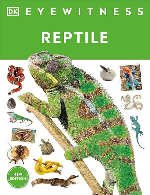 Eyewitness Reptile (DK Eyewitness) cover image
