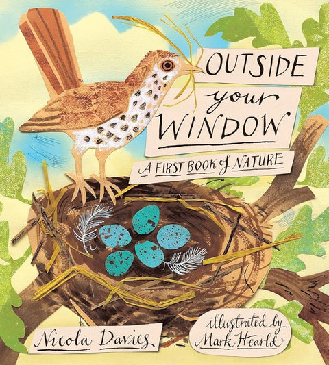 Outside Your Window: A First Book of Nature cover image