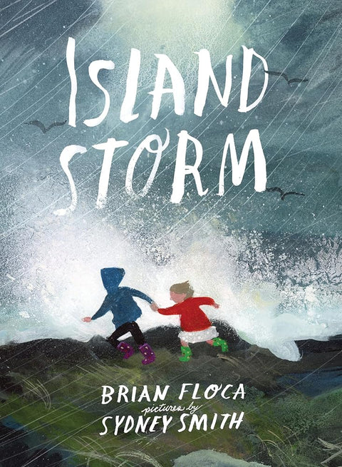Island Storm cover image