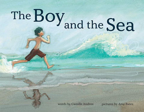 The Boy and the Sea cover image