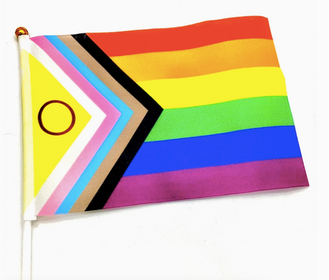 Intersex Inclusive/ Progress Pride Flag | The QUILTBAG