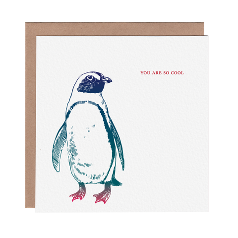 You Are So Cool Penguin Friendship Greeting Card