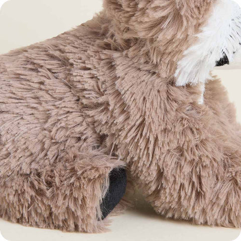 Raccoon Warmies Junior