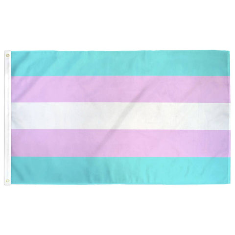 Transgender (Trans) Pride Flag: (M) 2ft x 3ft Single Sided